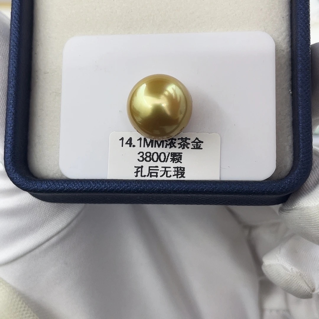 未镶嵌海水珍珠裸珠14.1mm浓茶金