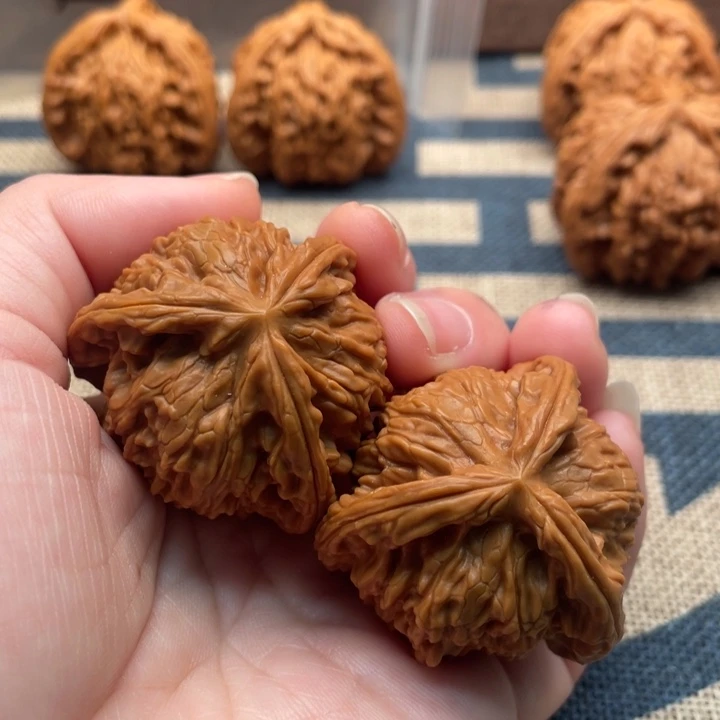 执***着核桃白狮子39核桃