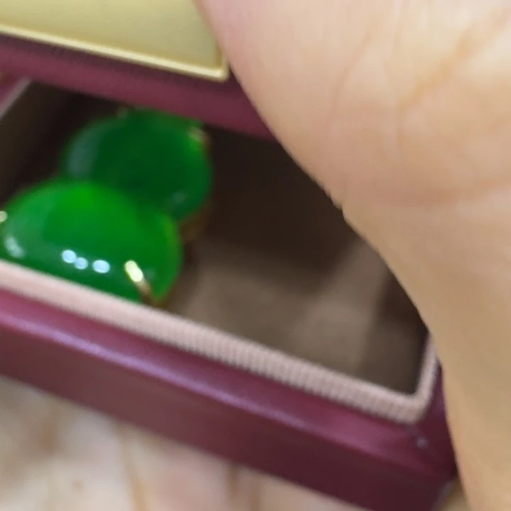 哈哈哈哈哈哈茶宠