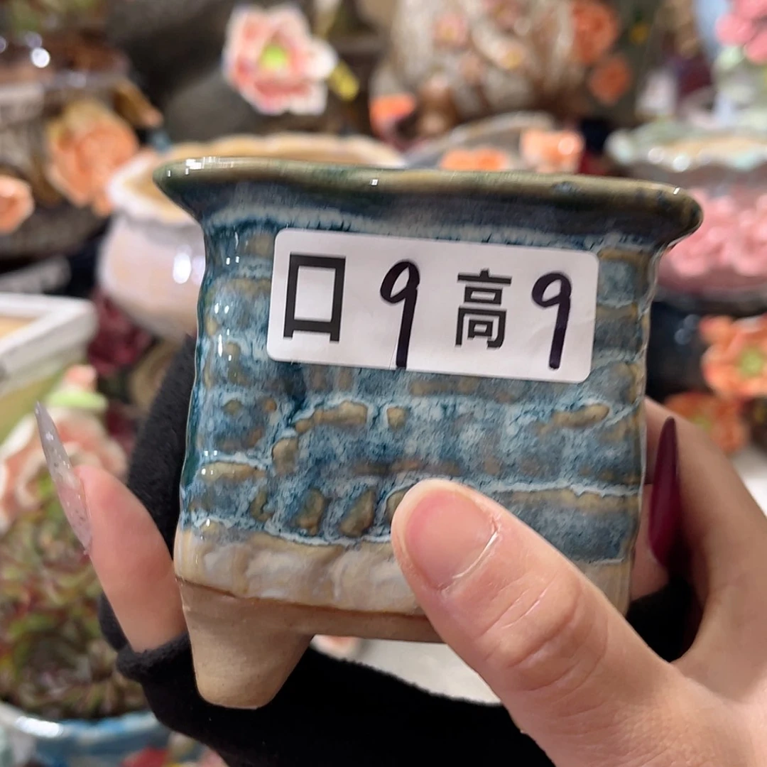 【闪购商品】红陶福利