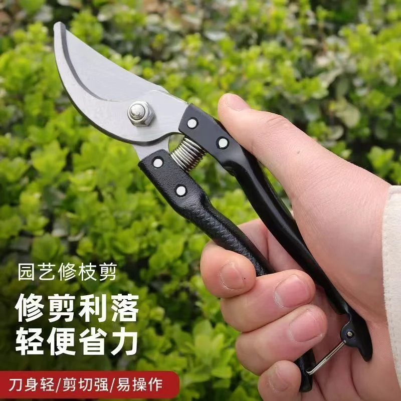 sk5德系工艺剪树剪子果树剪枝家用省力枝条剪修枝剪花木葡萄修剪