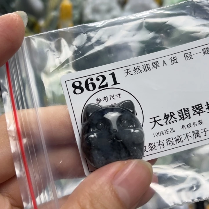 翡翠未镶嵌颈饰8621