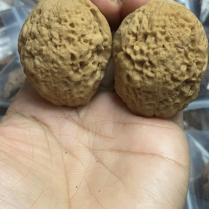 把件文玩核桃云南铁核桃基地5