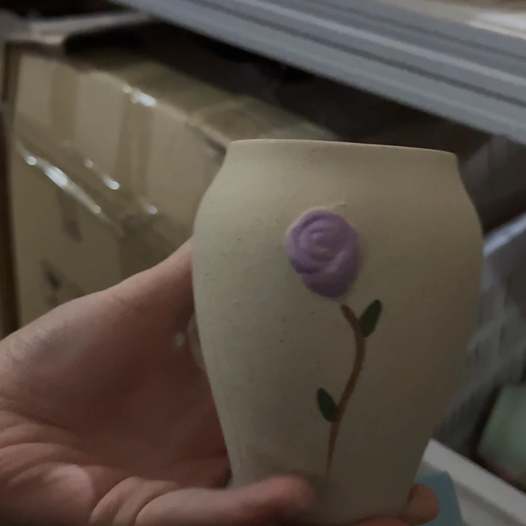 【闪购商品】红陶随便发