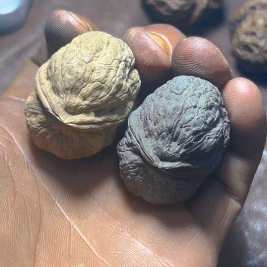 把件文玩核桃卡39箭毒蛙21号