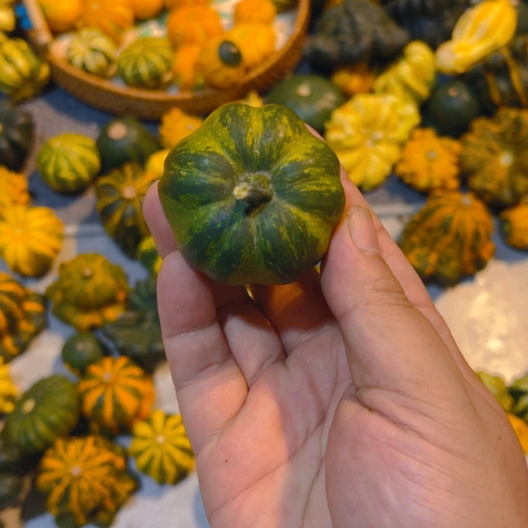 【闪购商品】静*子哈哈哈哈哈哈哈哈哈哈