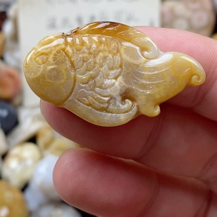 颈饰未镶嵌硅化珊瑚（珊瑚玉）有瑕 小