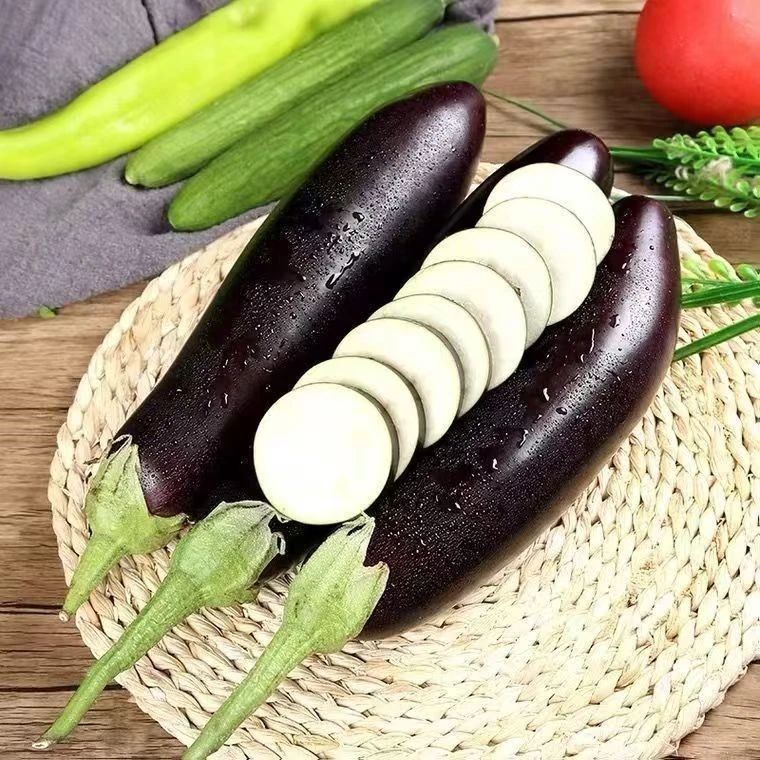 【川果域】山东寿光长茄子3斤3-6个 5斤6-9个