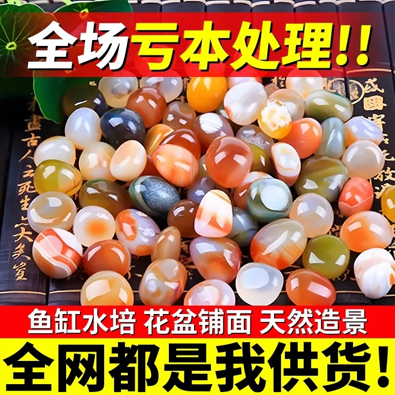 天然雨花石原石南京五彩鹅卵石乌龟鱼缸造景花盆多肉铺面装饰石头