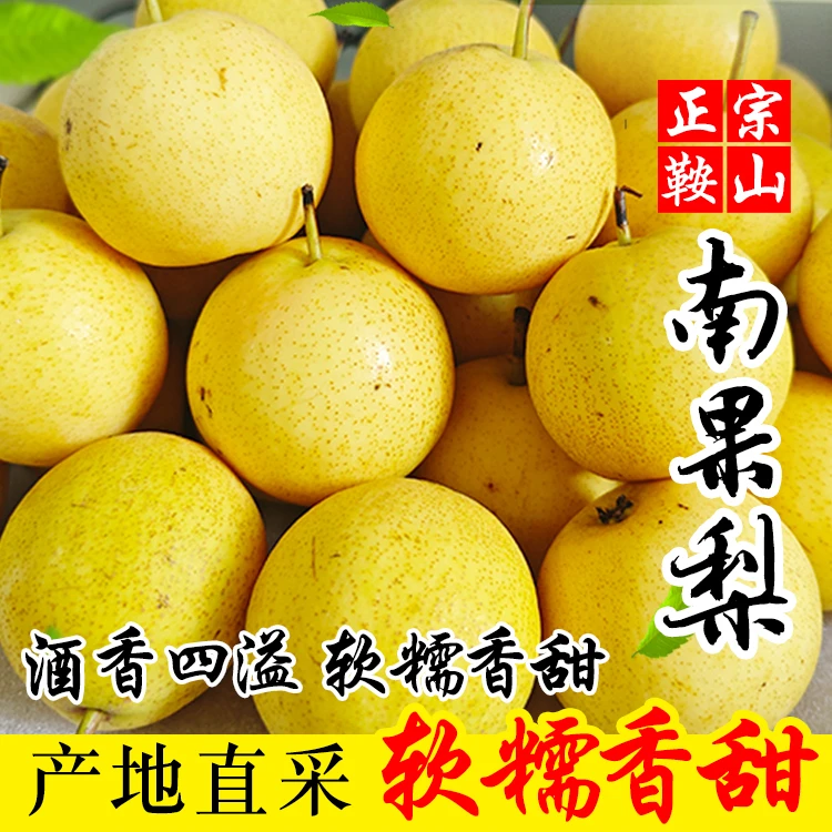 正宗鞍山南果梨薄皮细肉爽口多汁酒香浓郁九甜一酸软糯香甜包邮
