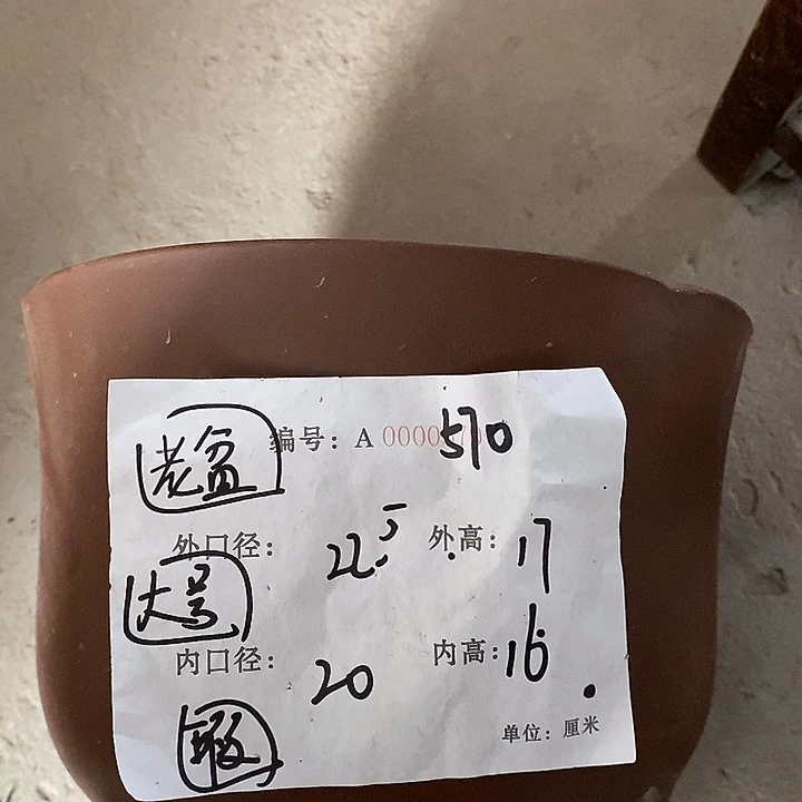 紫砂艺术紫砂工艺