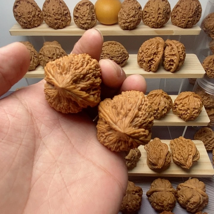把件核桃35尺全是蒜头一物一图