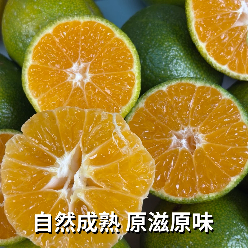 原产地直发南丰蜜桔蜜正宗南丰蜜广Vc炸弹小桔子