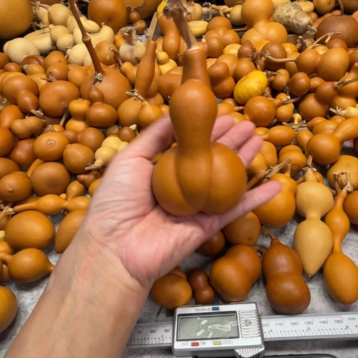 ?*安安的一把金蟾葫芦