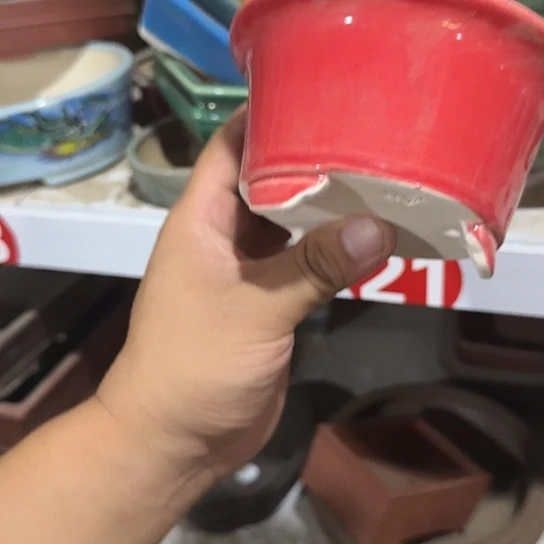 我想说什么我会和他们