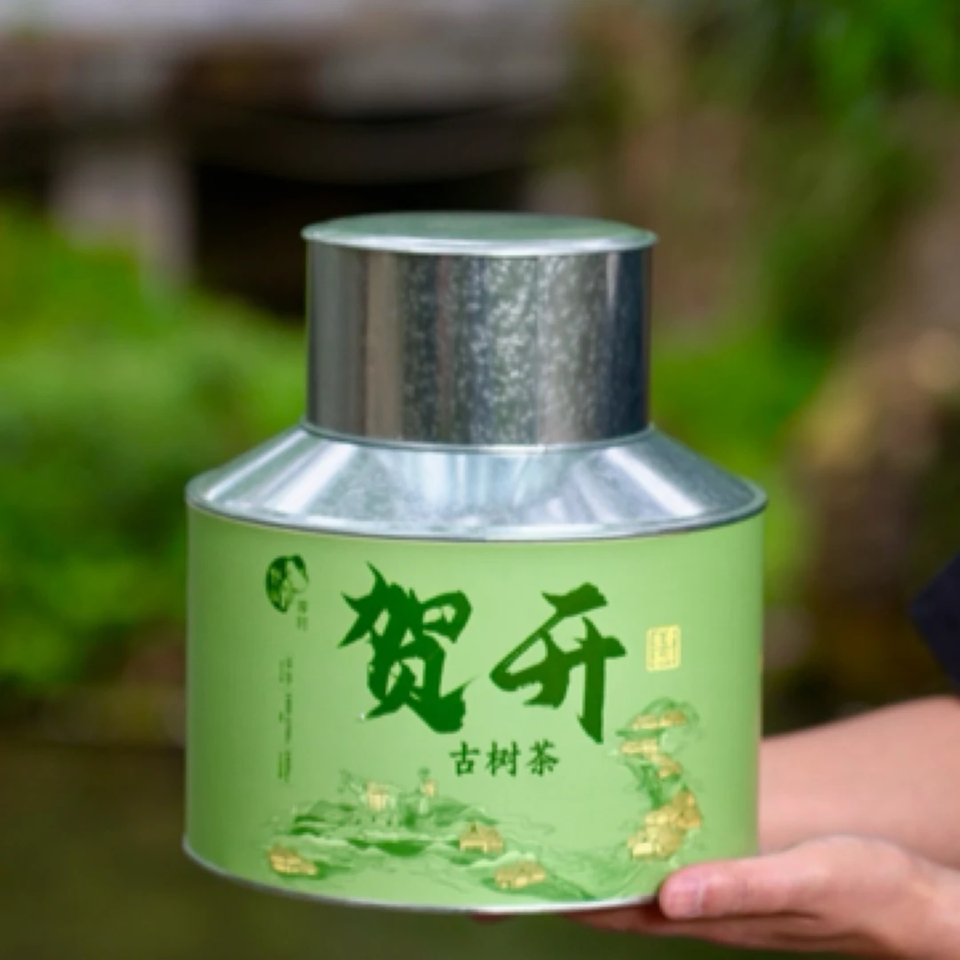 贺开古树2025年春茶