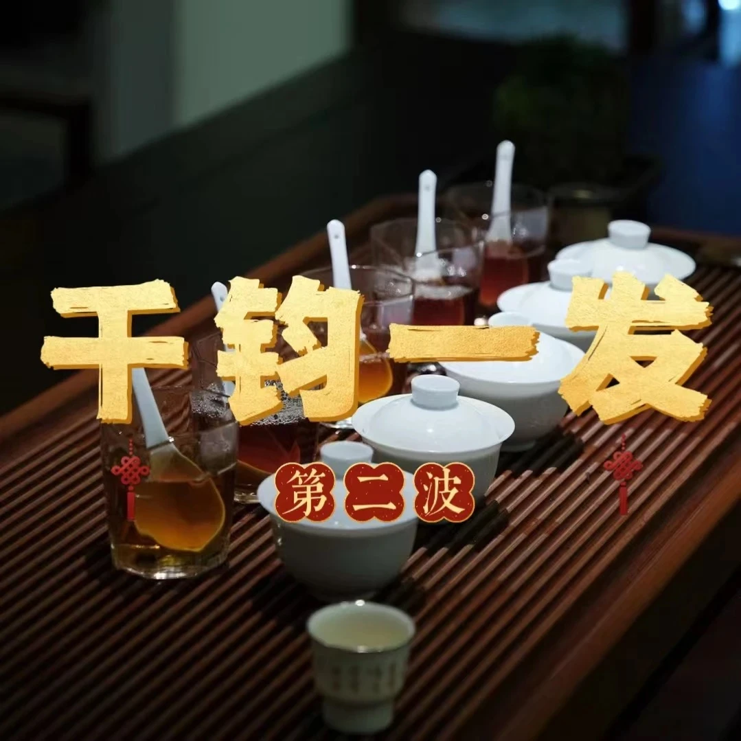 双十一限定第二波【千钧一发11月9】 武夷岩茶*惊喜组合不支持试喝