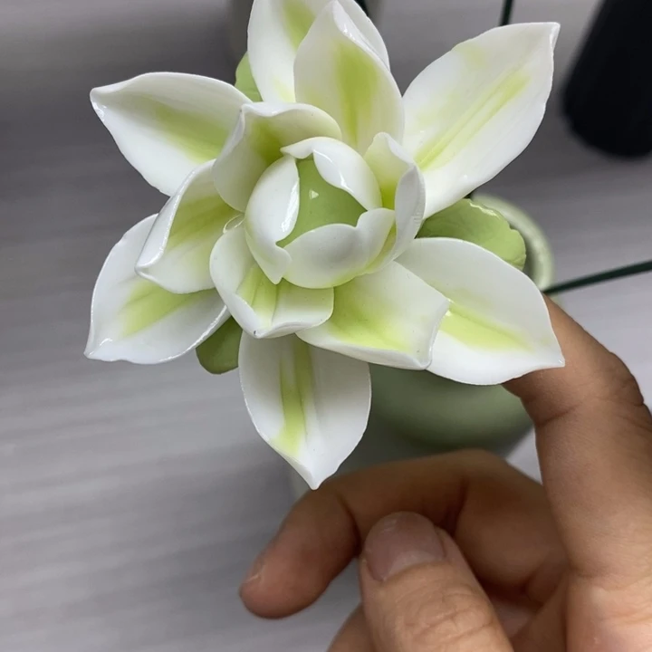 陶瓷陶瓷材料茉莉花