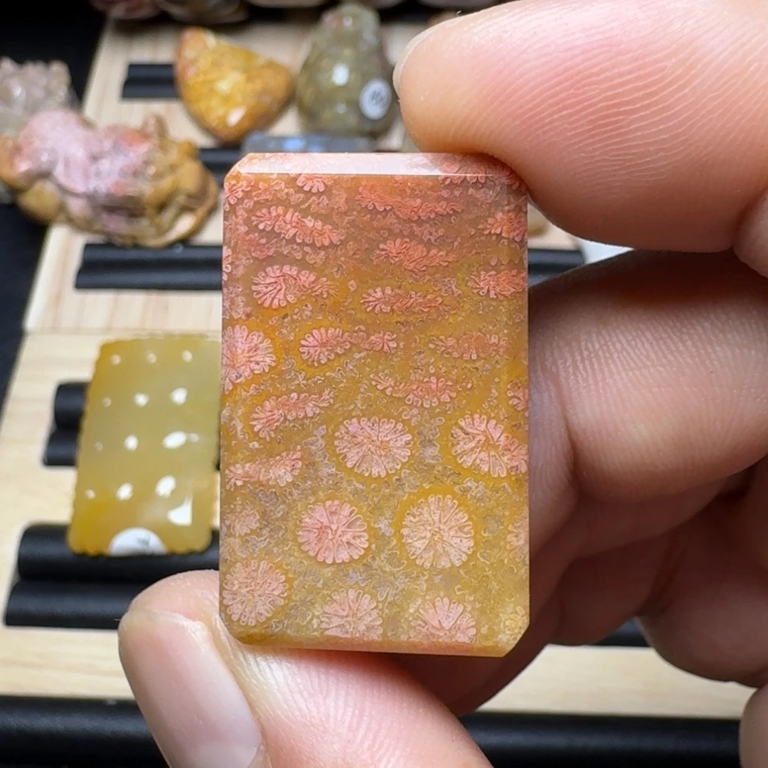 未镶嵌纯天然色有机玉石保真色硅化玉