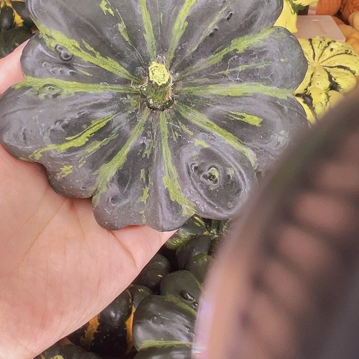 葫芦葫芦葫芦中国大陆江*鱼