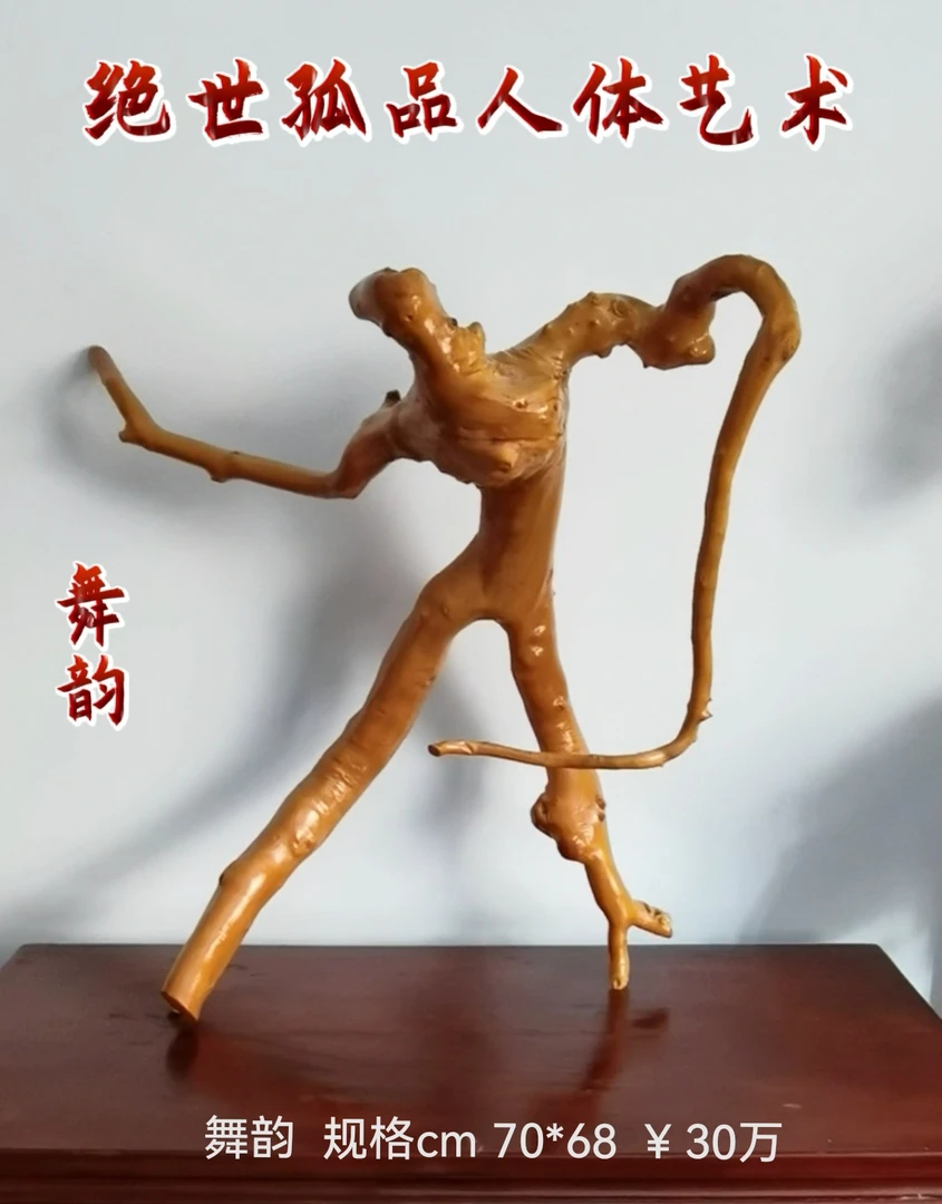 天然象形奇木艺术精品