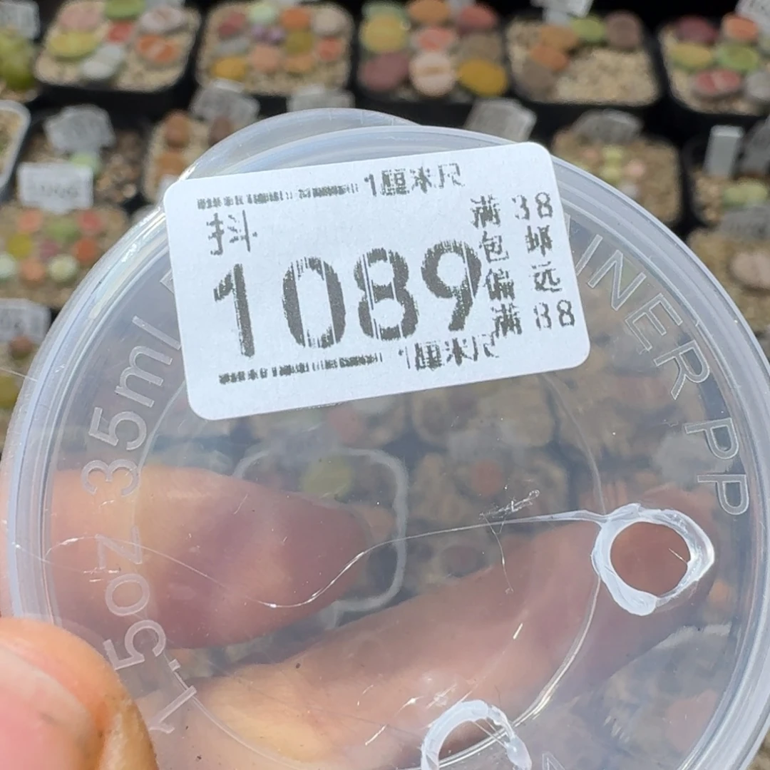 Sss精选优质石头1089补邮