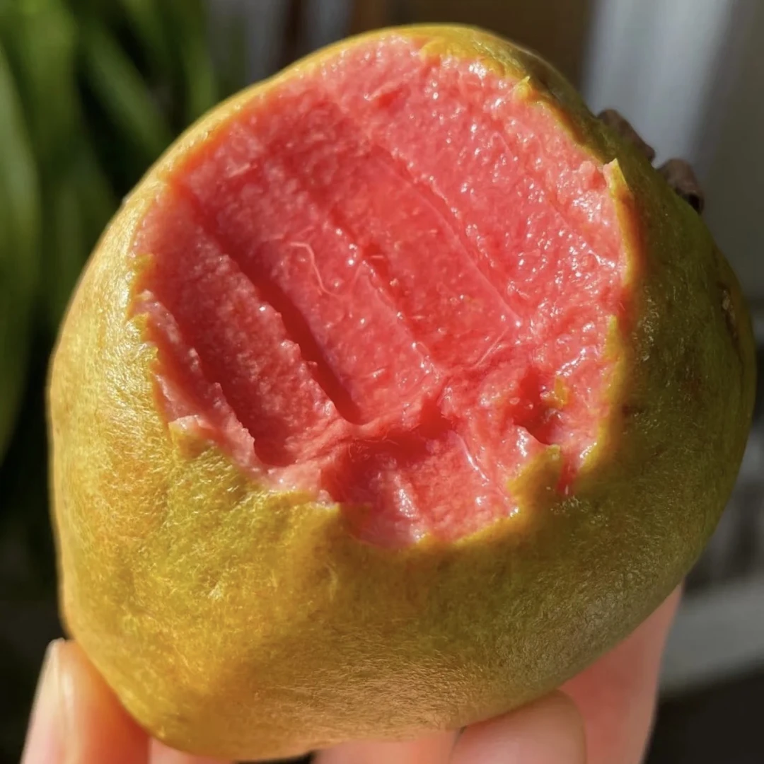 红心芭乐 营养丰富