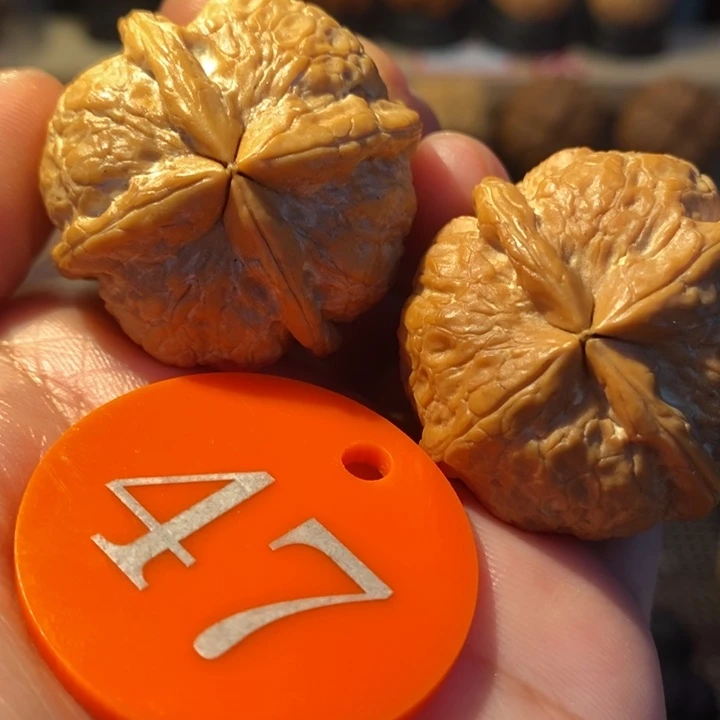 核桃7号粗筋四棱36尺寸