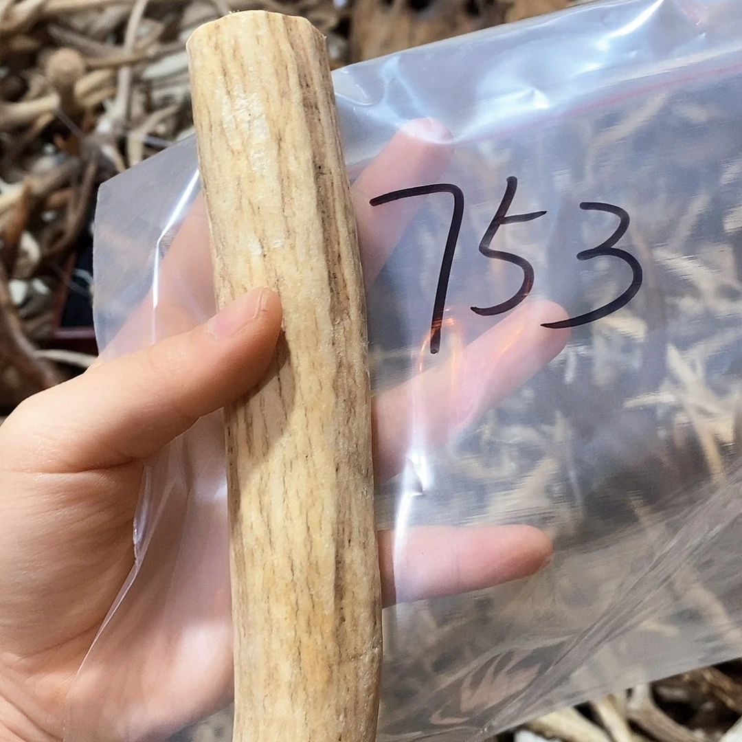 等****急鹿鹿角鹿鹿角鹿角鹿角l