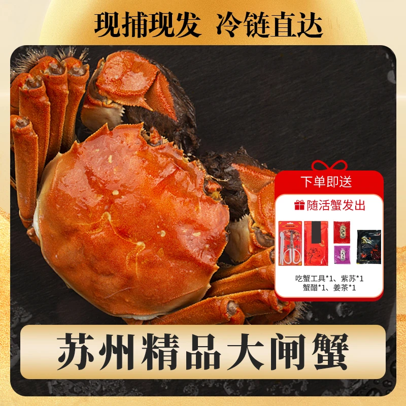 【活蟹】精品大闸蟹公4只5.2-4.9两 母4只5.2-4.9两 到手8只冷链发