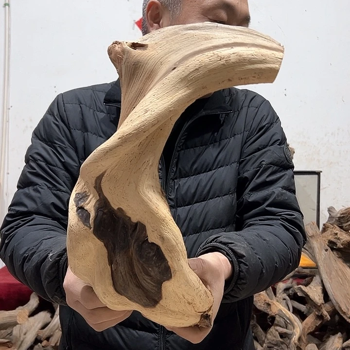 柏木惜*我们的生活是以