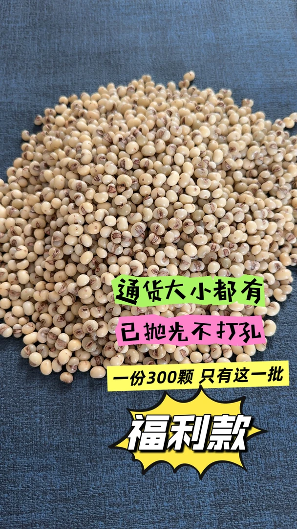 金佛草手串材料包一份（通货300颗）已抛光没打孔