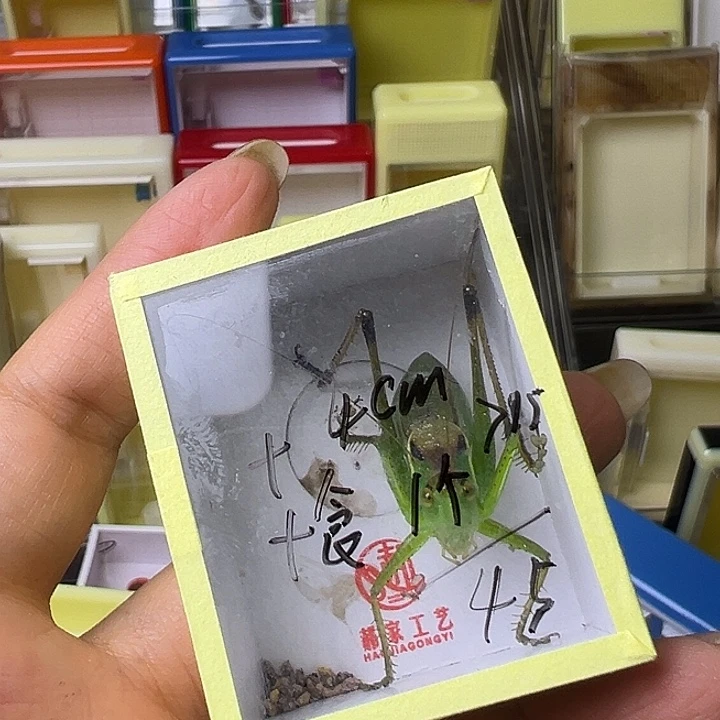 和***谐哈哈哈哈哈哈哈哈哈哈哈