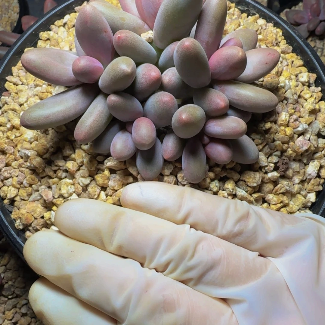 z z z z z z z z z 8