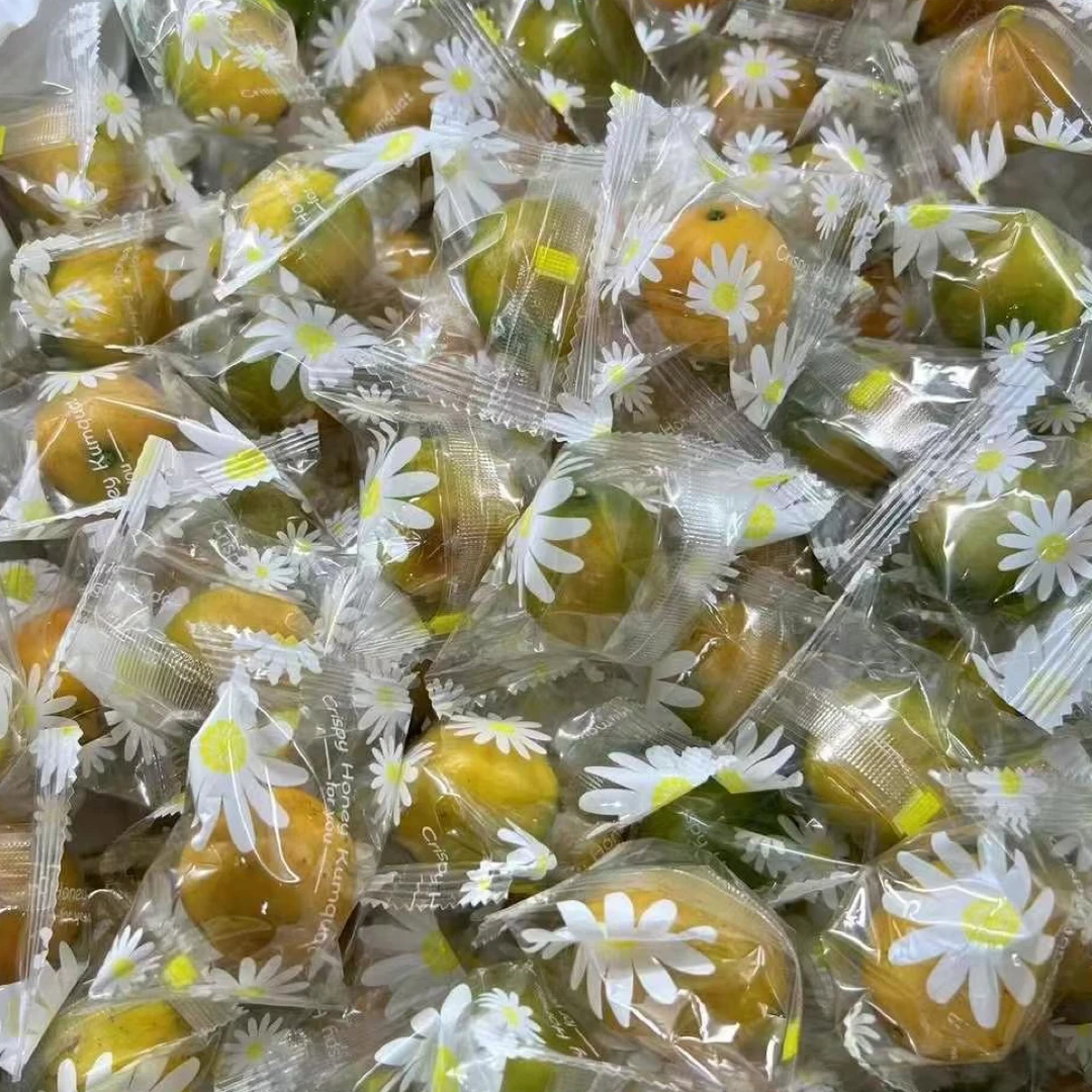 【念念家】独立精品包装脆蜜金柑 1 斤广西壮族自治区