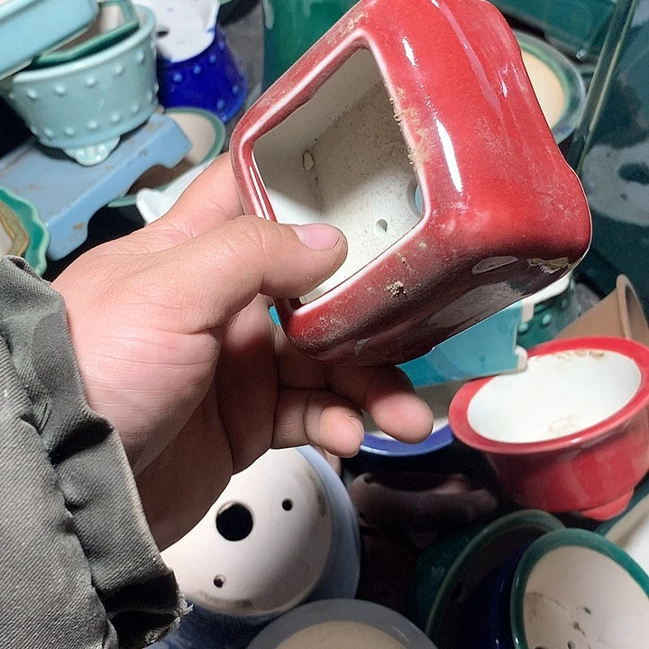 紫砂哈哈真的是太给力太火爆了