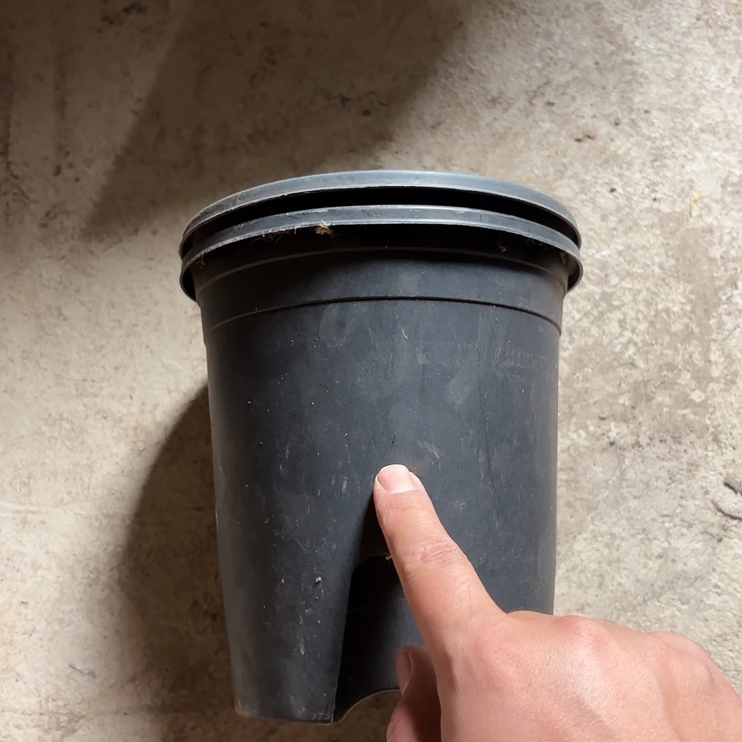 黑加仑160口径发15个