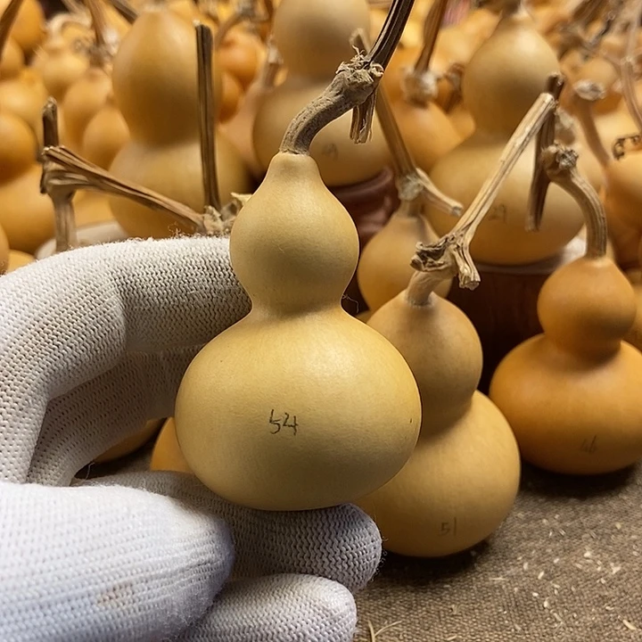 文玩葫芦 完美主义者 慎拍54