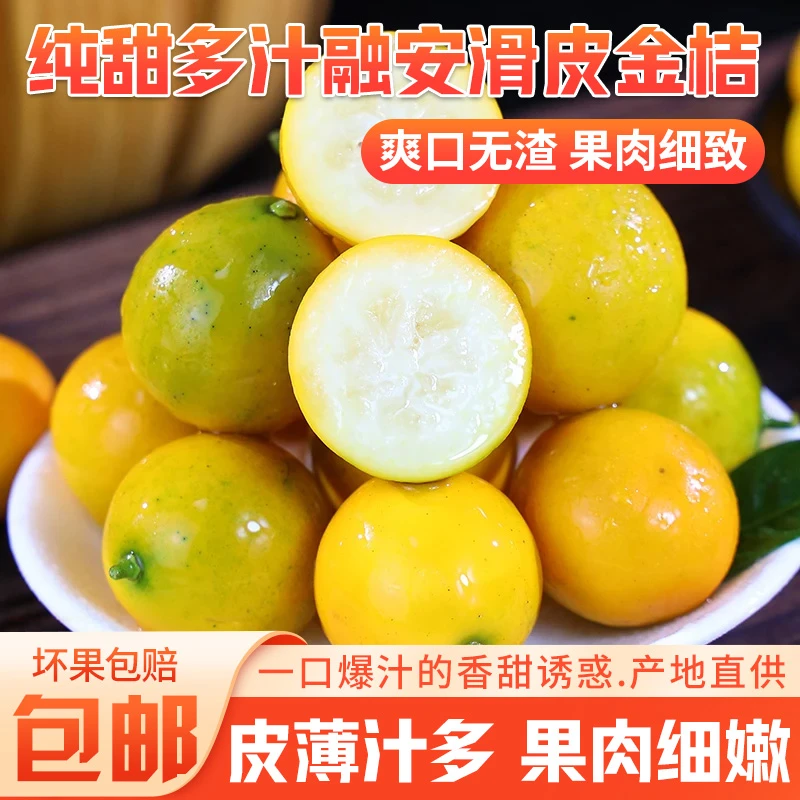广西融安滑皮金桔皮薄汁多果肉细嫩爽口无渣产地直供新鲜采摘金桔