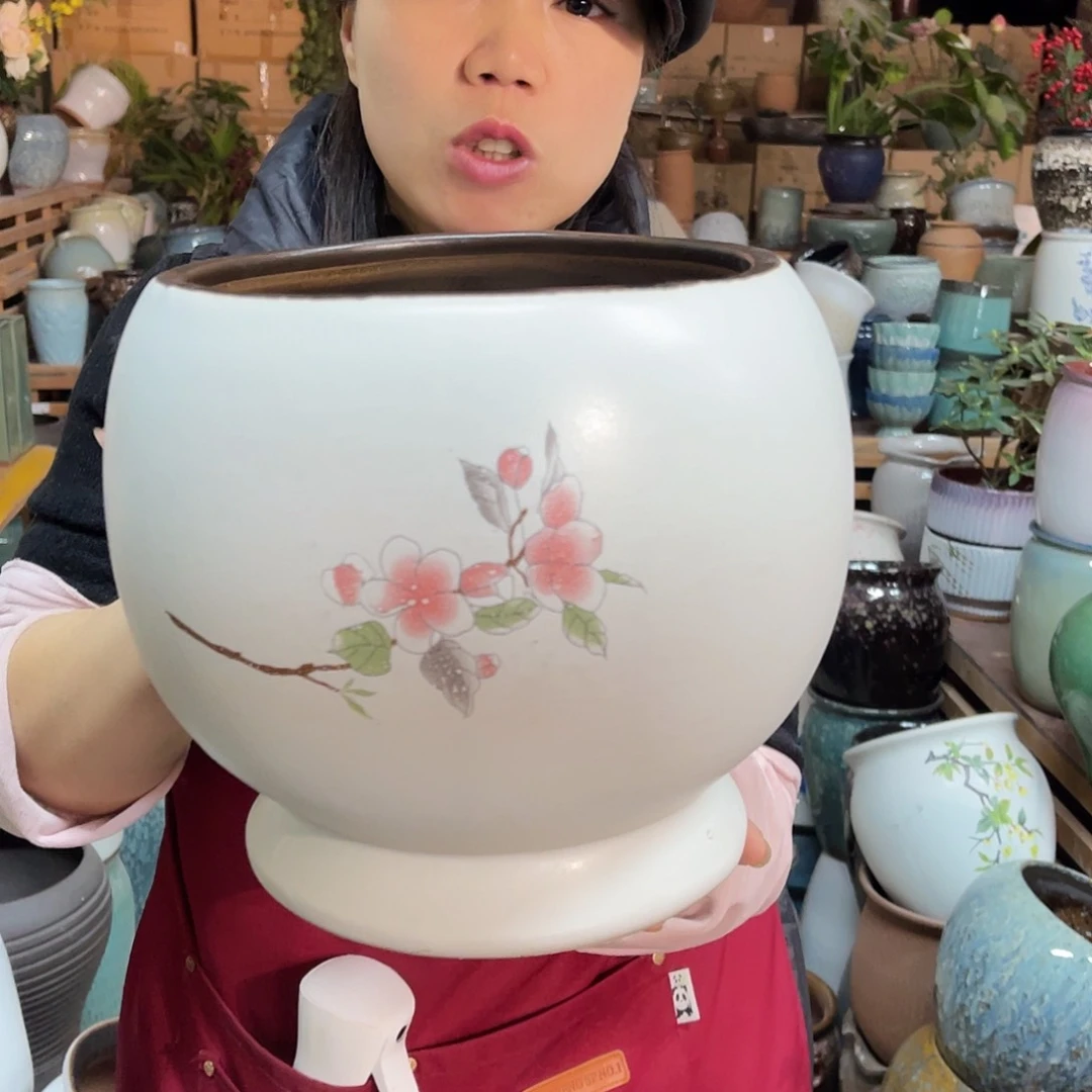红陶高度21口径21