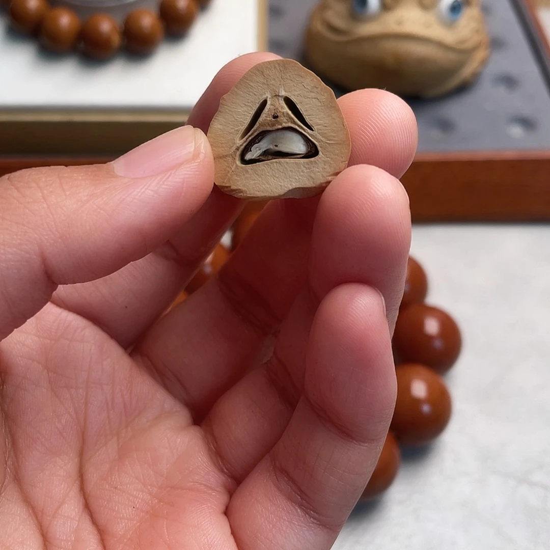 手串/手链橄榄核橄榄核