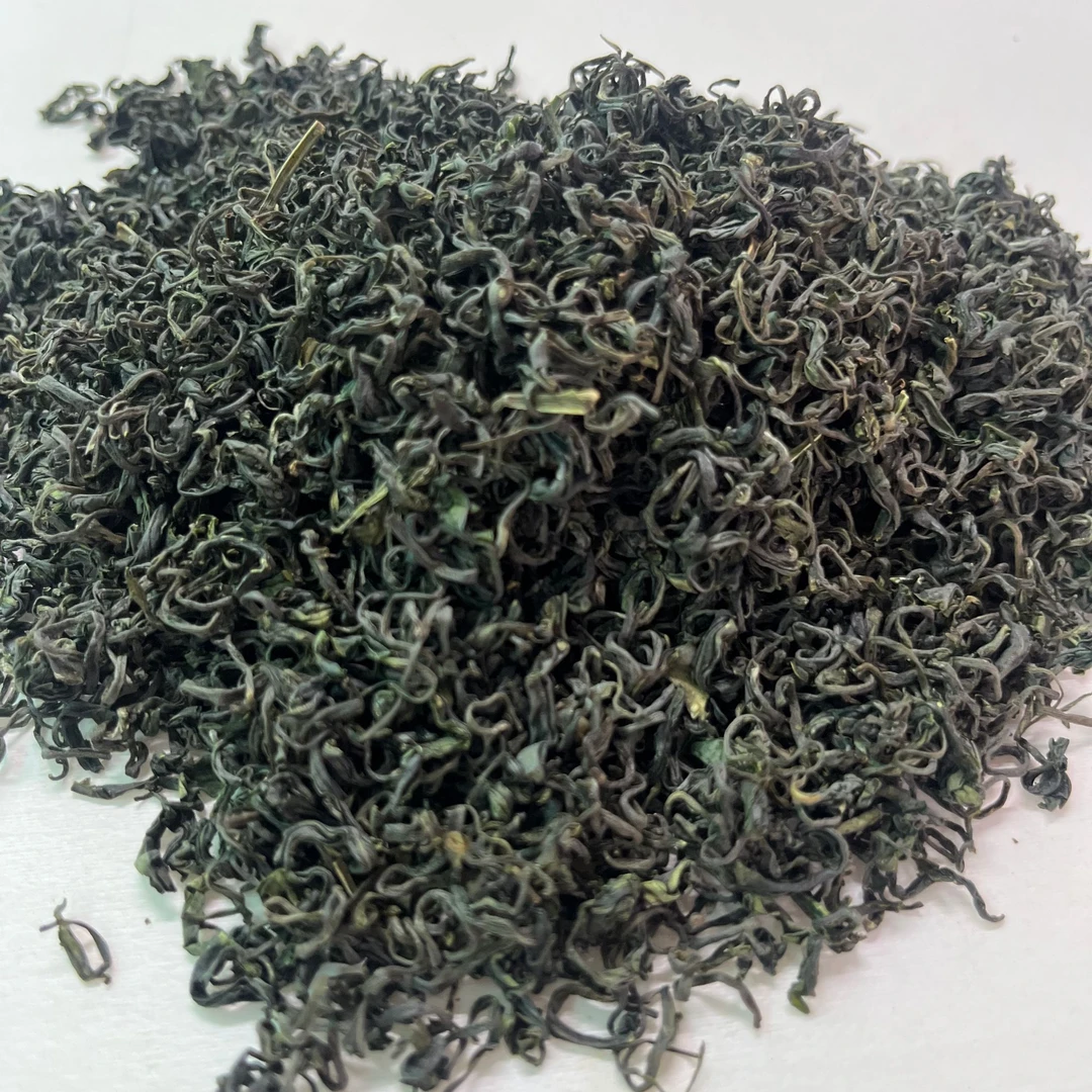 崂山绿茶2025年新茶绿茶崂山茶