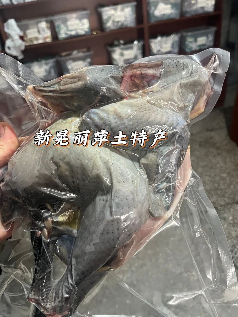 湖南正宗农村散养新鲜冷冻现杀本地鸡乌鸡1500g一年以上