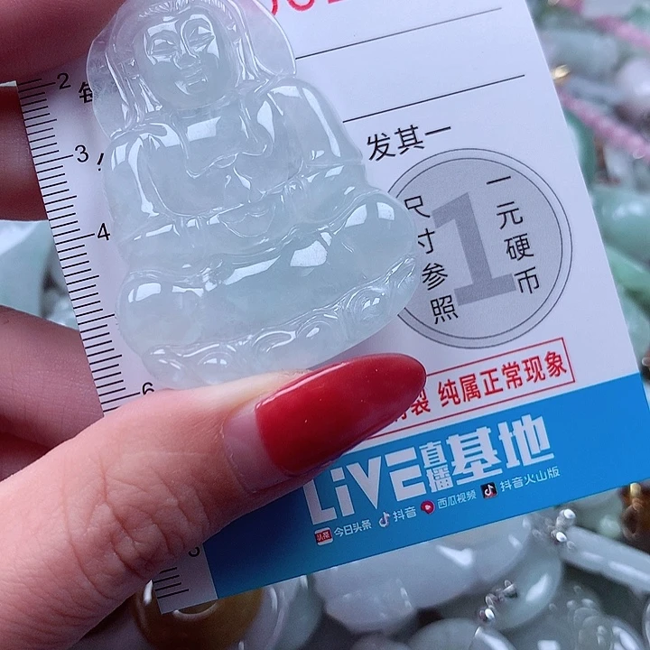 翡翠未镶嵌颈饰2536