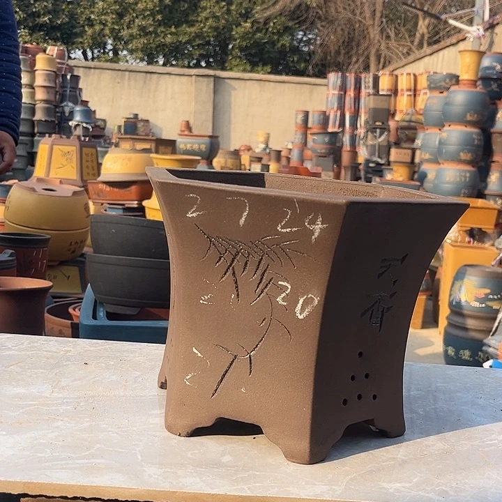 紫砂紫砂花盆盆栽