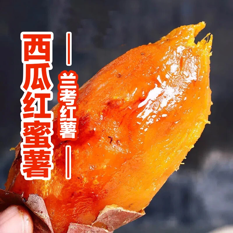 兰考西瓜红蜜薯 沙地种植 无筋无丝软糯香甜 烤红薯3斤装