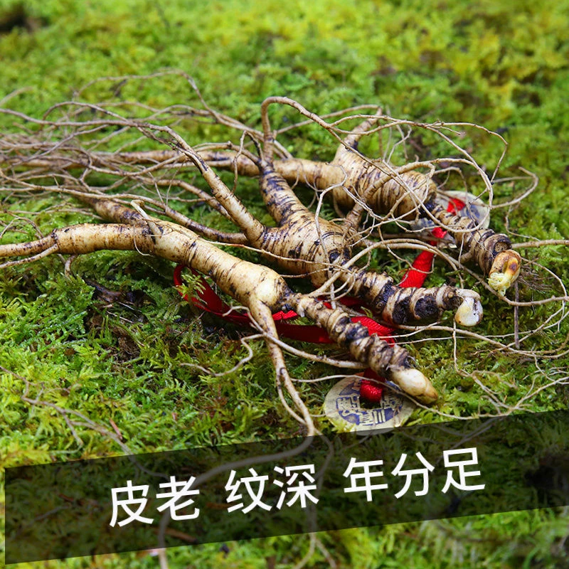 林下参 直播改价链接