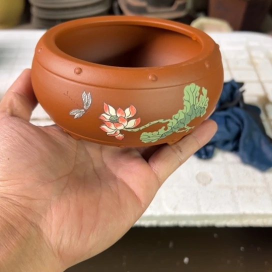 【闪购商品】内10内高5