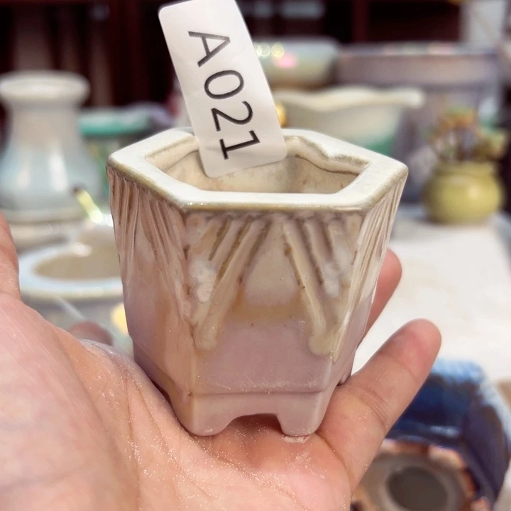 景德镇陶瓷研究所巧****胖