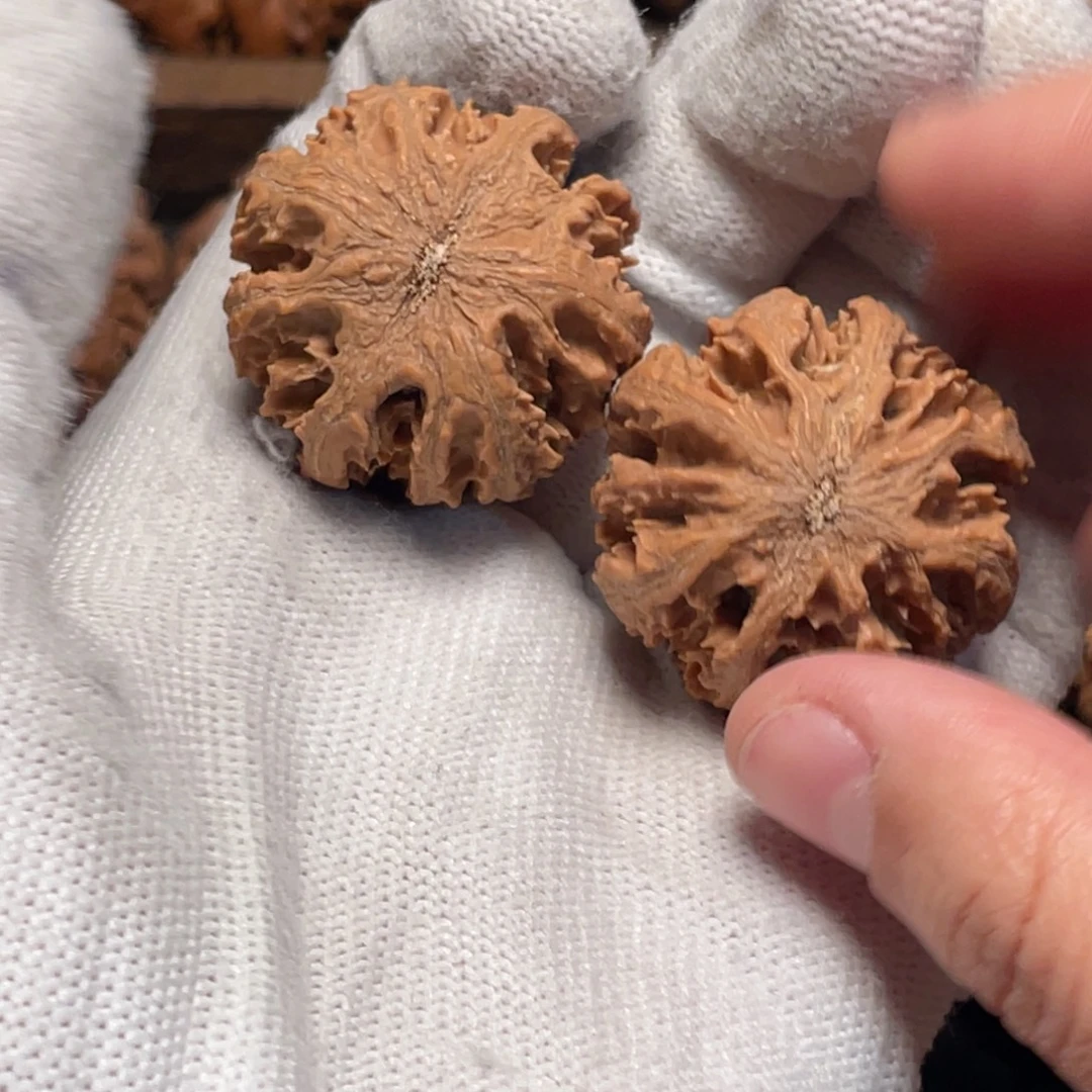 森***林吊坠桃核15 秦岭灯笼野生小众